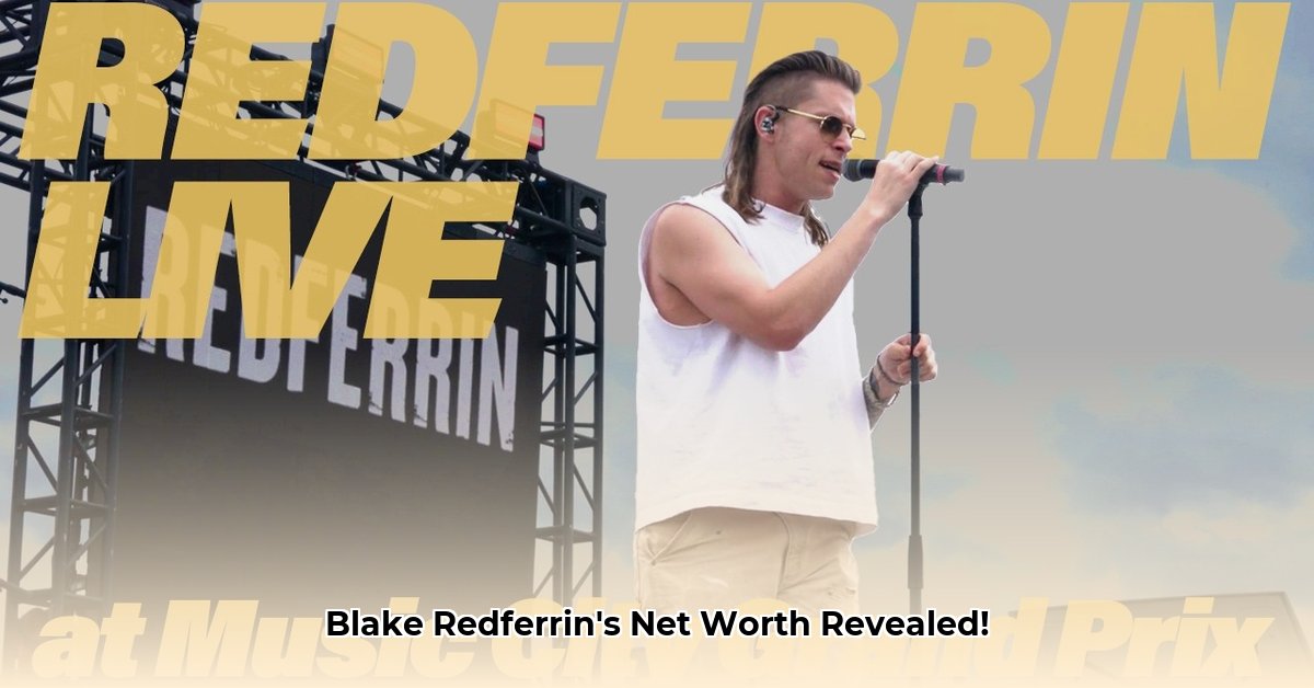 blake-redferrin-net-worth